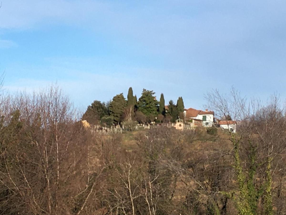 The Montevecchia Home - Frida Apartment Zewnętrze zdjęcie