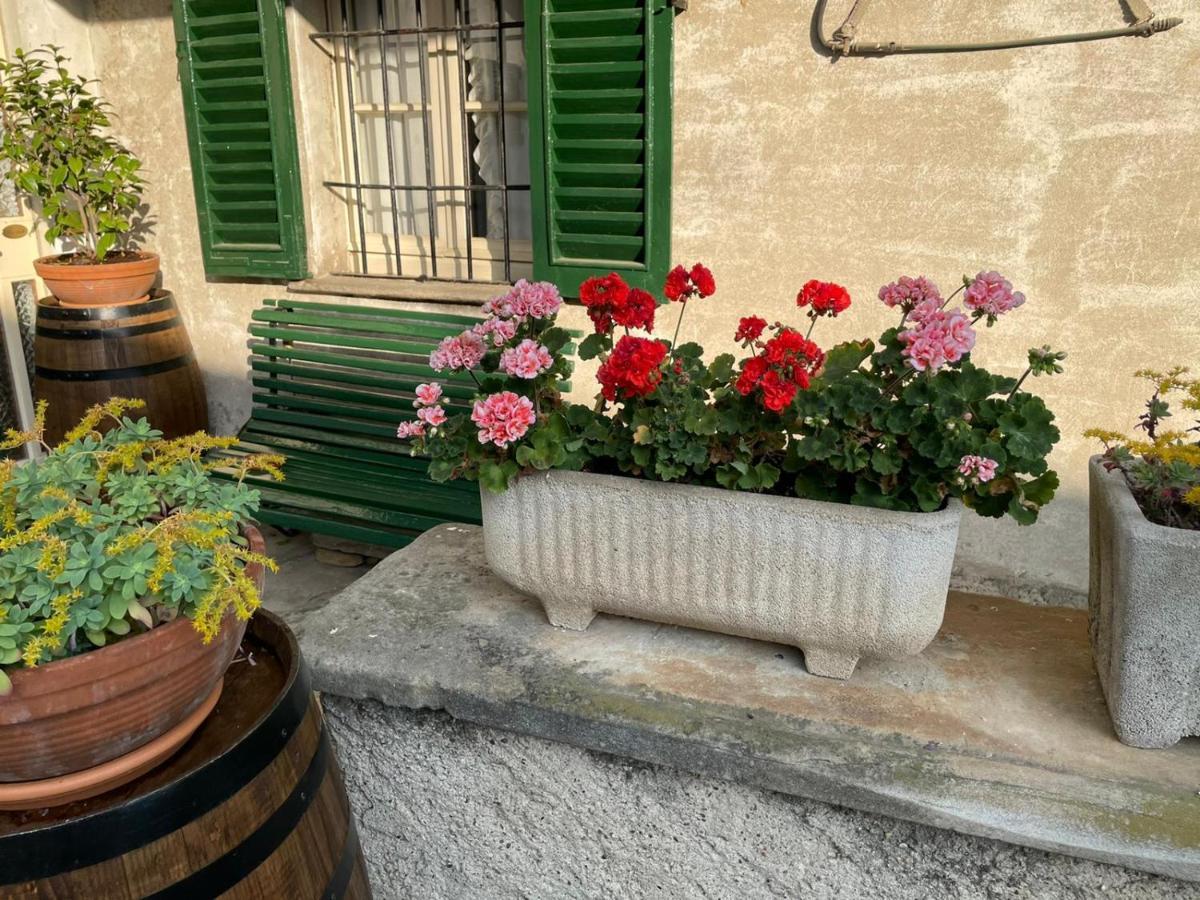 The Montevecchia Home - Frida Apartment Zewnętrze zdjęcie